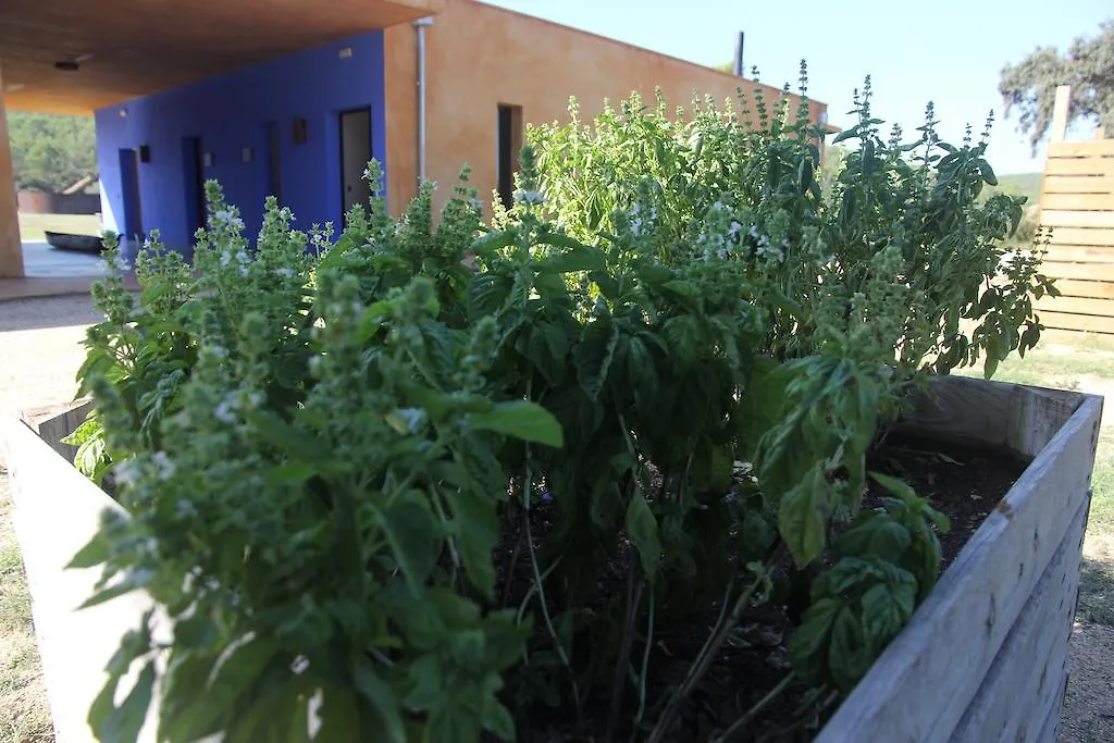 Bed & Breakfast Hotel Fundacio L'Olivar Ventalló